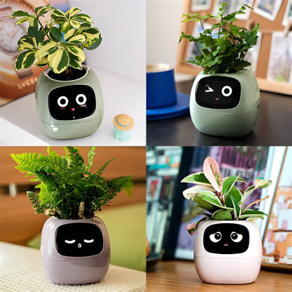 Ivy Smart Plant Pot